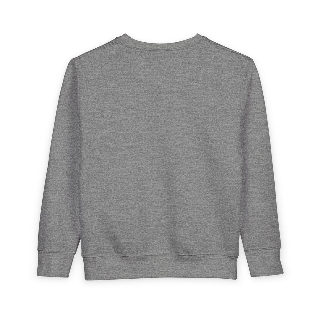 Toddler Sweatshirt Boy King