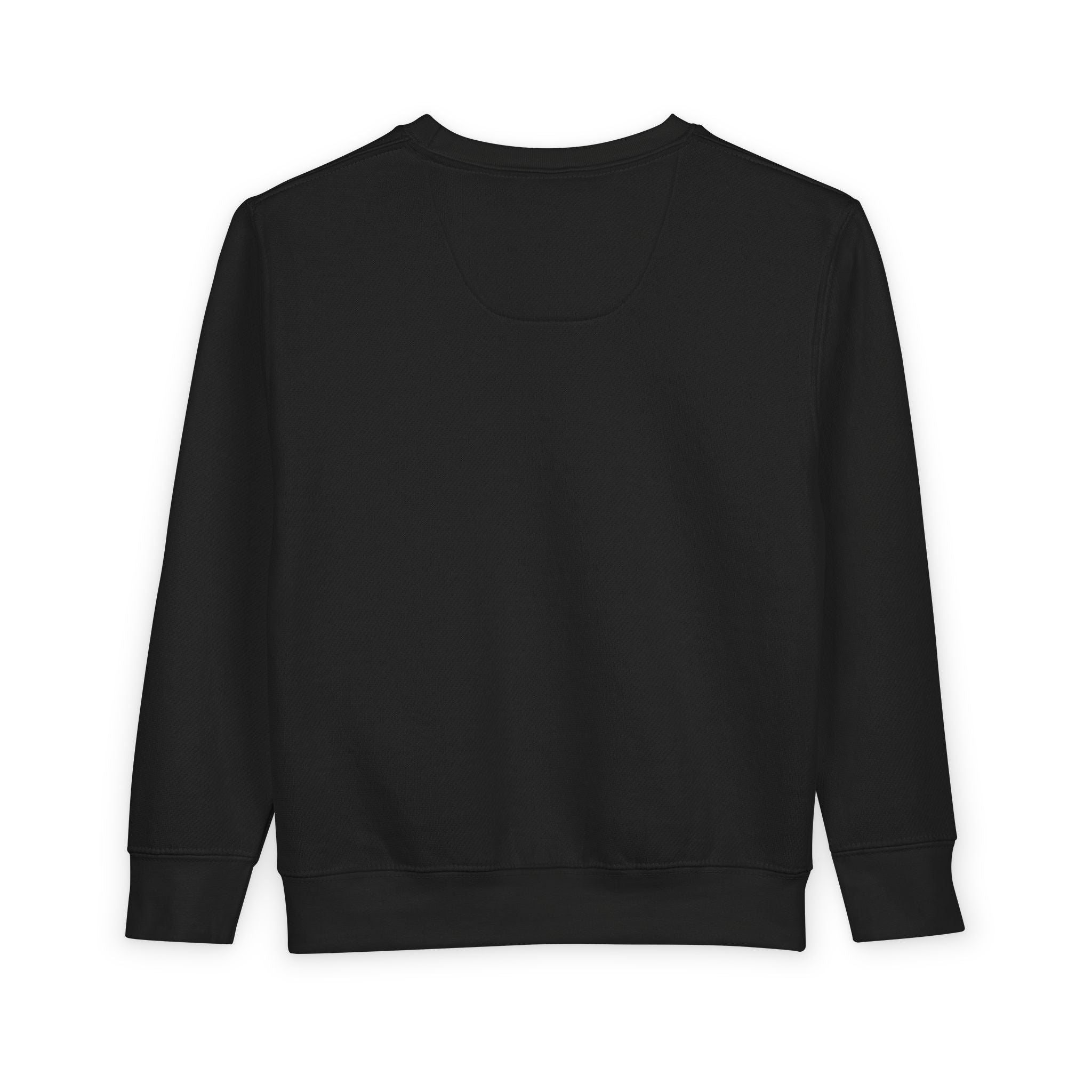 Toddler Sweatshirt Boy King